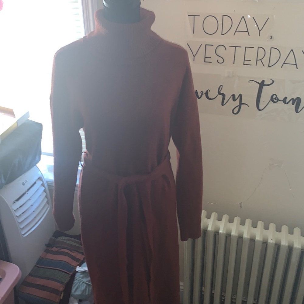 Sweater/turtleneck dress NWT